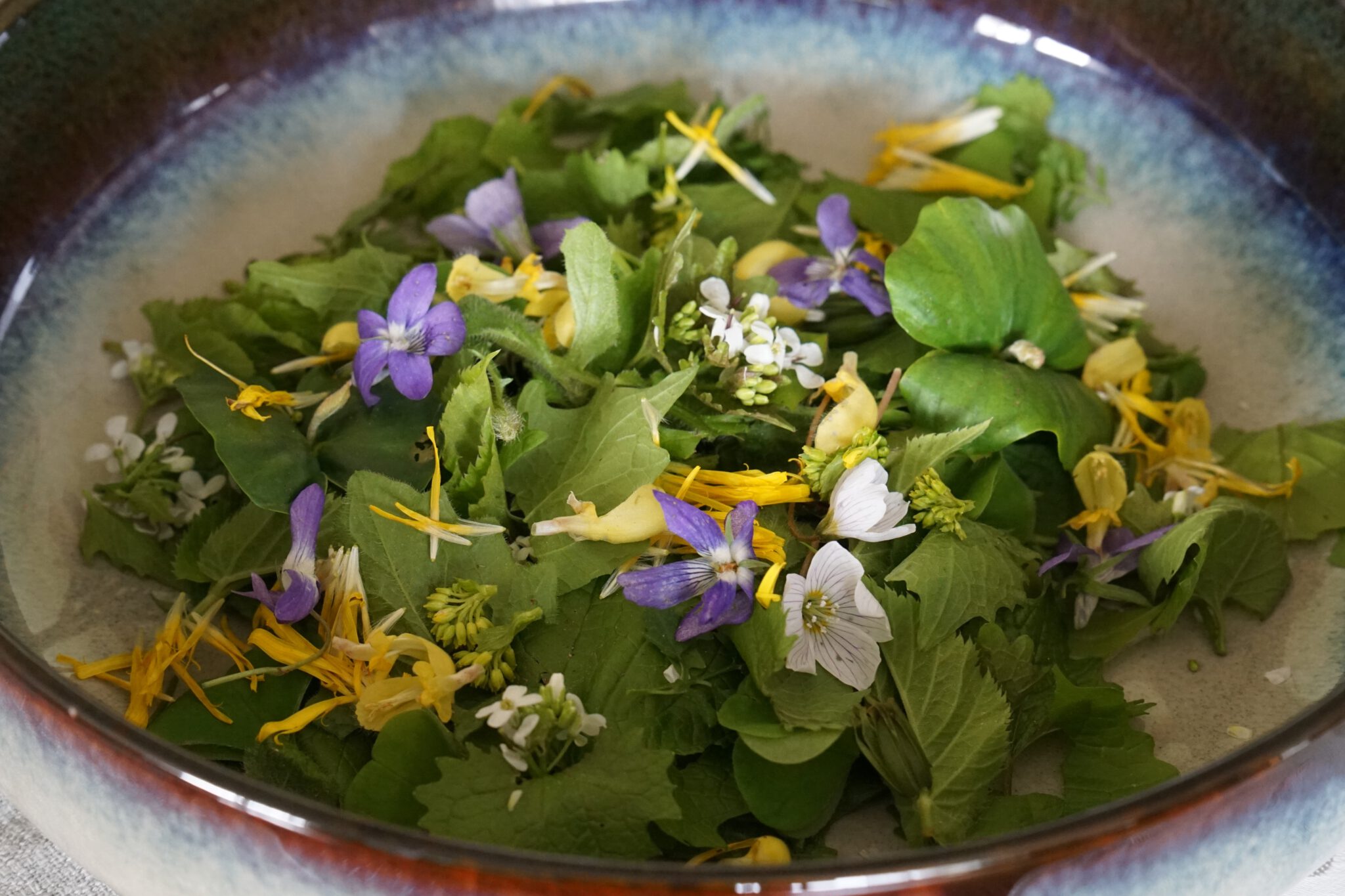 wild zubereitet - Wildpflanzenliebe